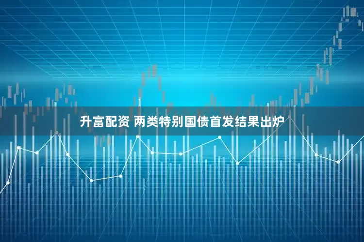 升富配资 两类特别国债首发结果出炉