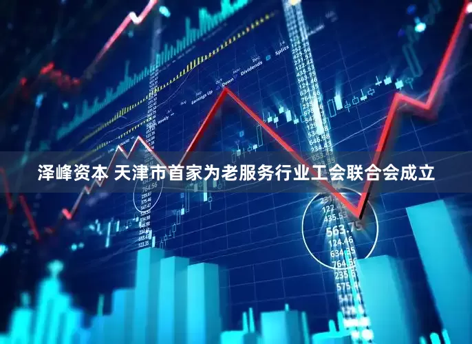 泽峰资本 天津市首家为老服务行业工会联合会成立