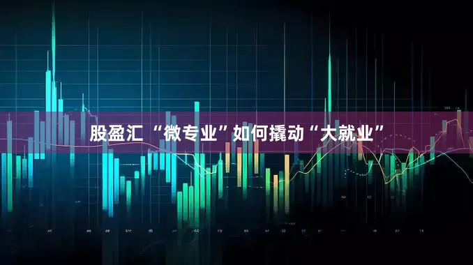 股盈汇 “微专业”如何撬动“大就业”