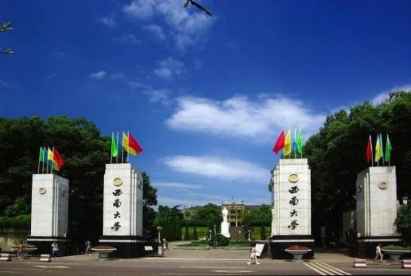 博星优配 西南大学指定外卖平台被质疑垄断，校方通报：为解决外卖乱放、丢失问题