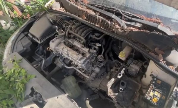 海越互赢 浙江男子把私家车停路边两年，一次也没去看过！如今要用车时傻眼：还能这样？