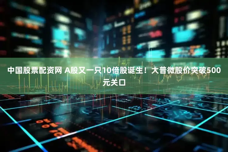 中国股票配资网 A股又一只10倍股诞生！大普微股价突破500元关口